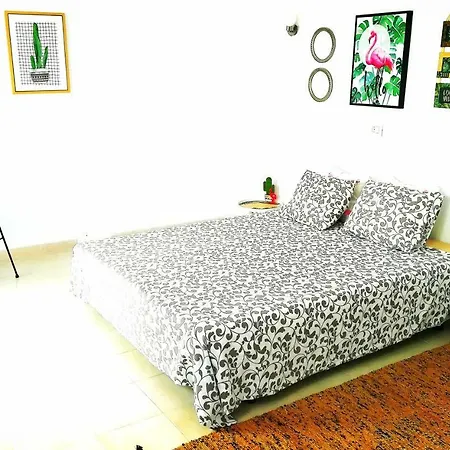 La Casa De Para 2